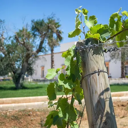 Tenuta Mose Charming House&relais Gallipoli * Alezio