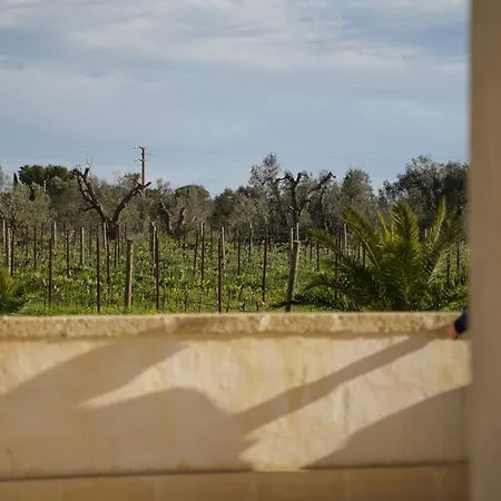 Tenuta Mose Charming House&relais Gallipoli Agroturismo