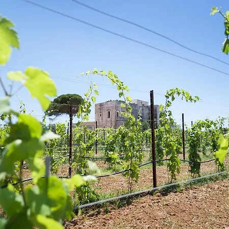 Agroturismo Tenuta Mose Charming House&relais Gallipoli